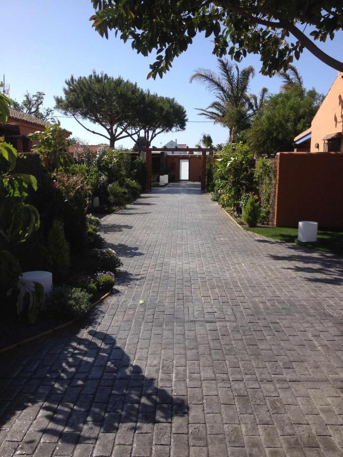 Estudio Con Jardincito Privado Barbacoa Y Piscina Cádis Exterior foto